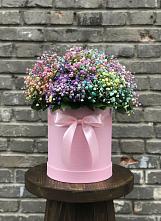 Цветочная композиция из Гипсофила и Розы в шляпной коробке #REPLACE_PRED# Приютово