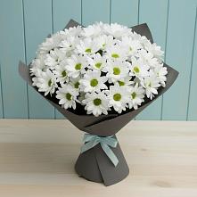 Букет цветов из:  Хризантемы в Приютово