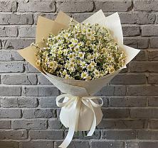 Букет цветов из:  Ромашки в Приютово