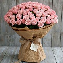Букет 151 Роза Роуз #REPLACE_PRED# Приютово