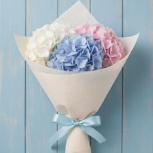 Букет цветов из:  Гортензия в Приютово