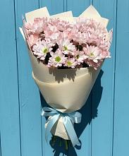 Букет цветов из:  Хризантемы #REPLACE_PRED# Приютово