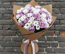 Букет цветов из:  Хризантемы #REPLACE_PRED# Приютово