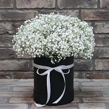 Цветочная композиция из Гипсофила в шляпной коробке в Приютово