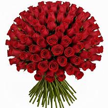 Букет Красные розы Чери Лав в Приютово