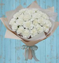 Букет цветов из:  Гвоздики #REPLACE_PRED# Приютово