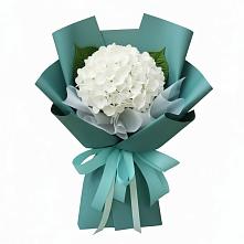 Букет цветов из:  Гортензия #REPLACE_PRED# Приютово